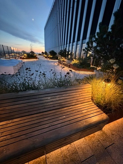 leapfrog external smaller size2